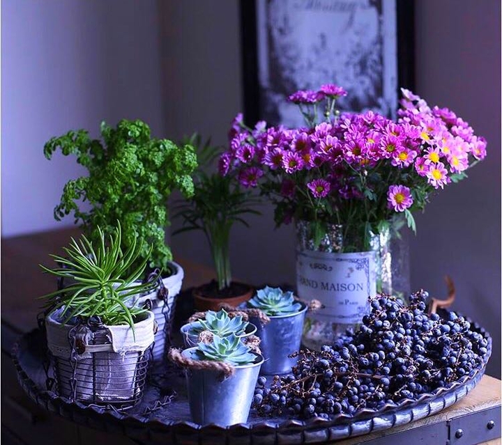 flowers