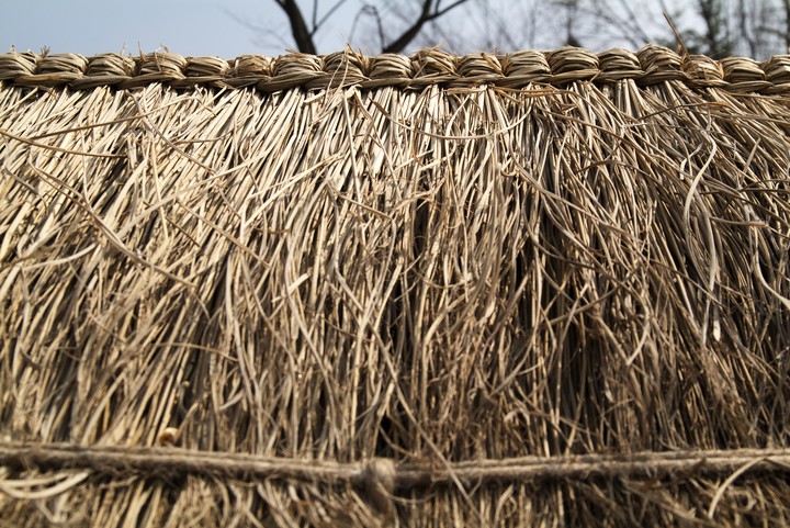 Straw
