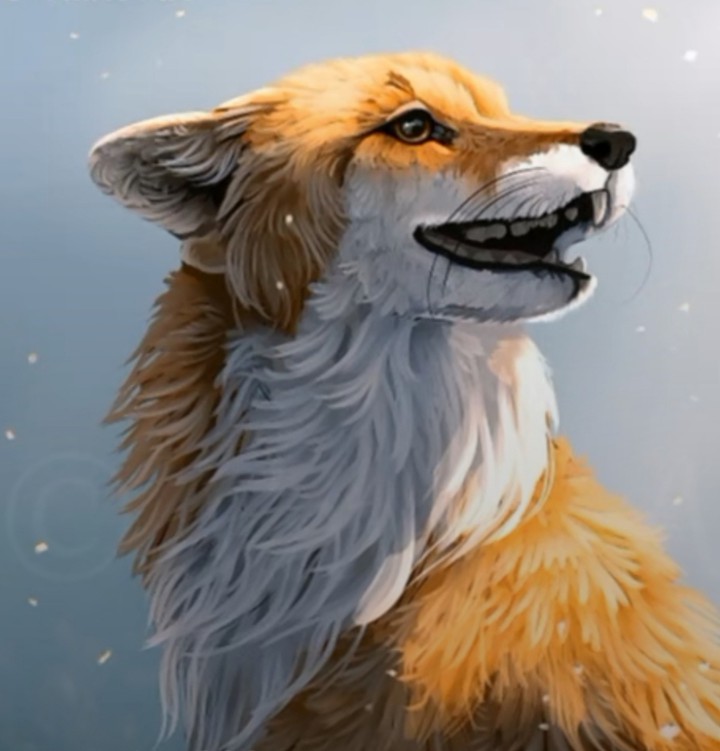 renard