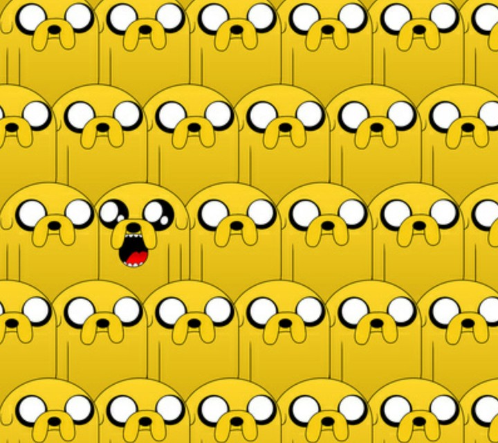 jake