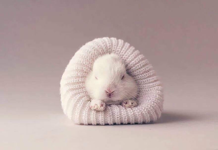 cute ?