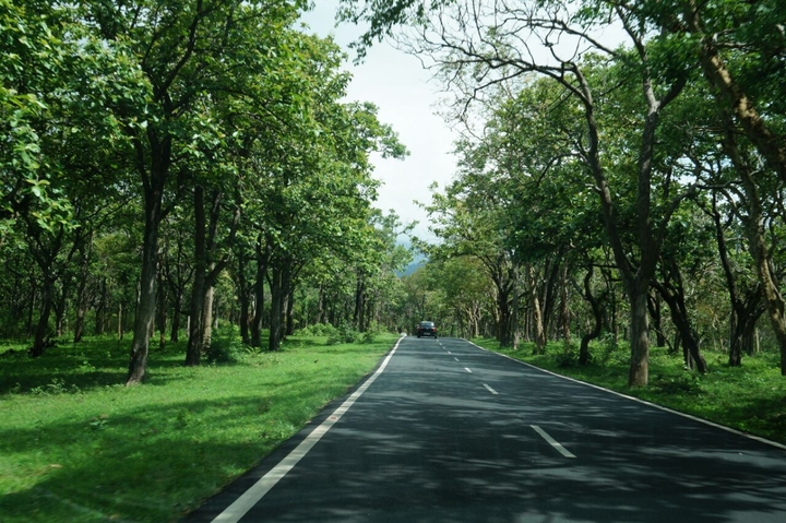 ooty