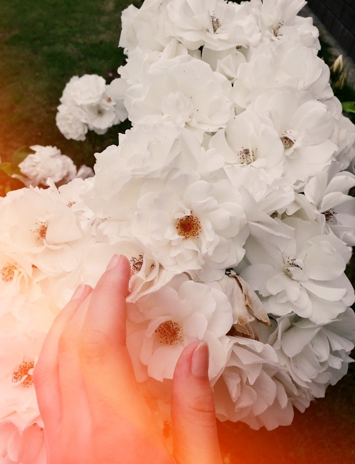 white