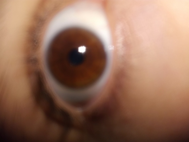 the eye of the storm