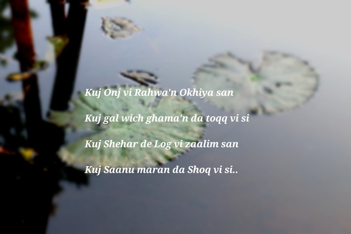 By Munir Niazi