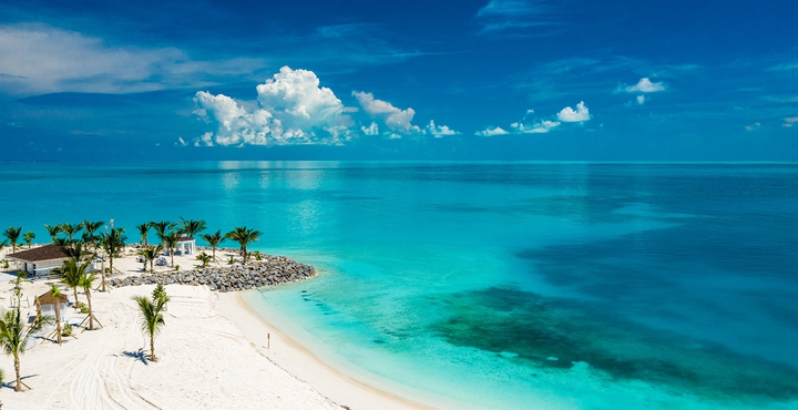PARADISIAC SPECTACLE