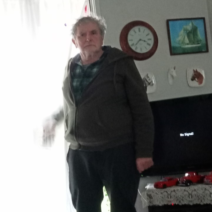 david