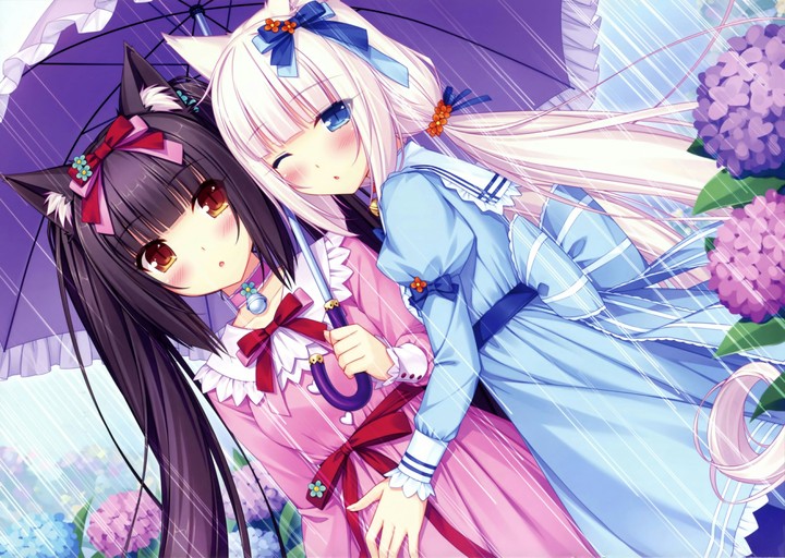 neko