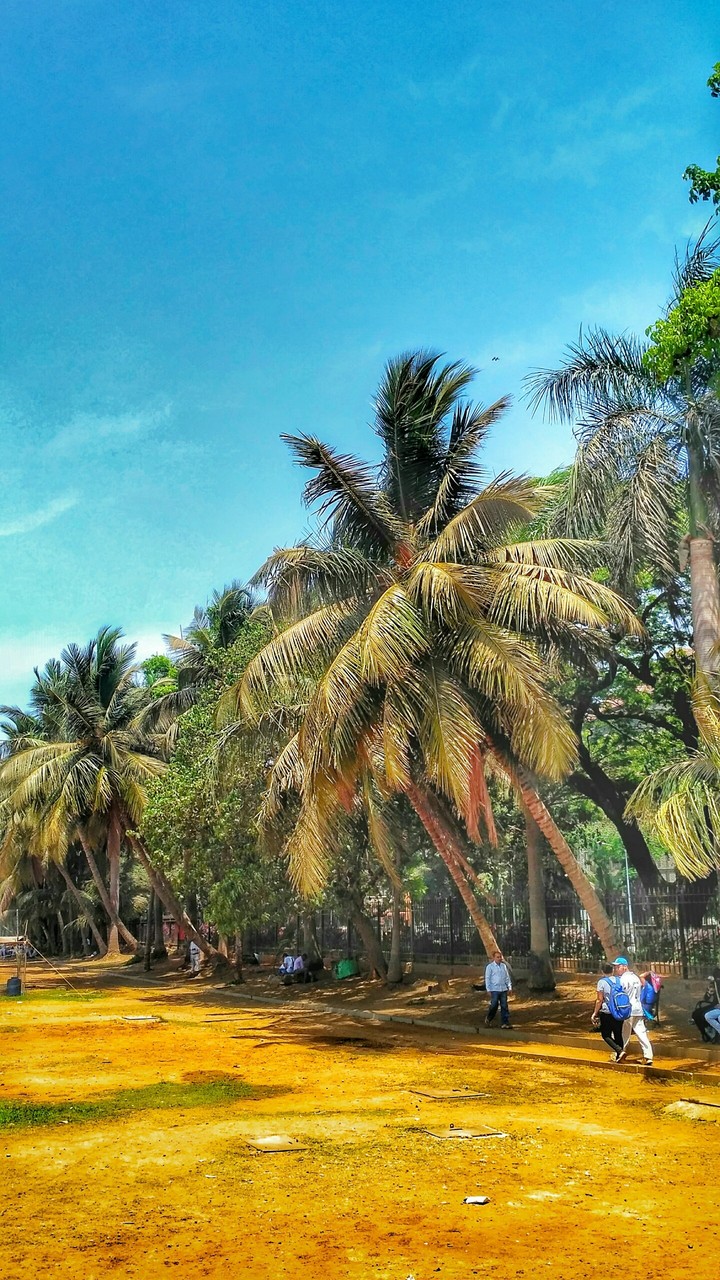 random click