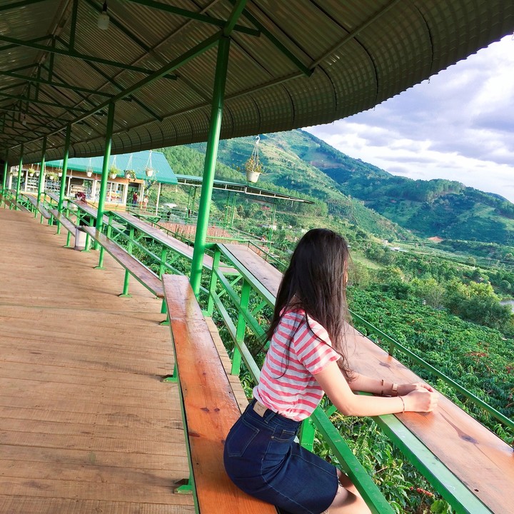 Coffee garden