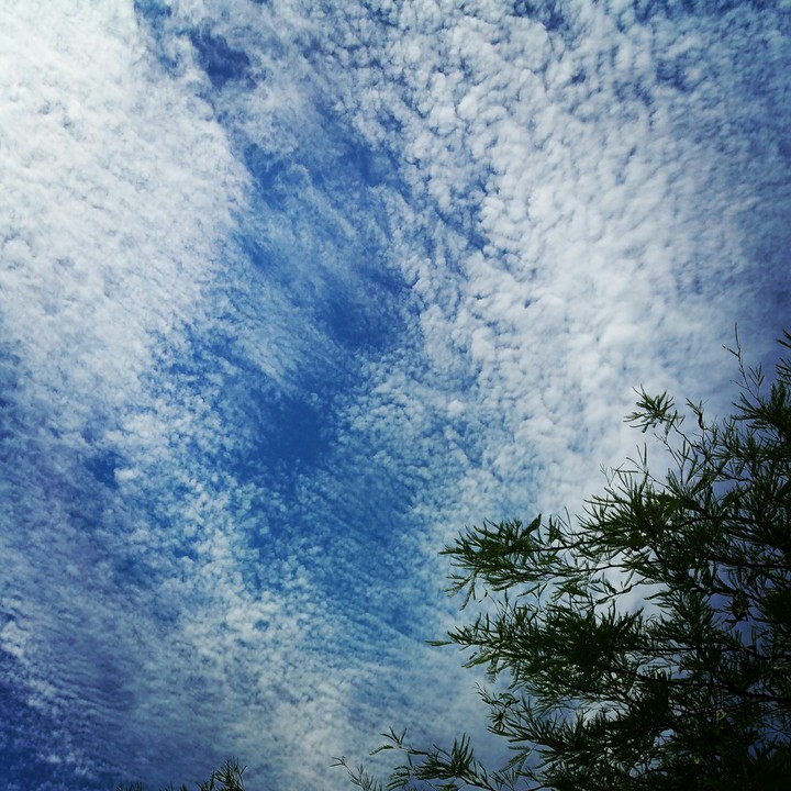 Beautiful clouds