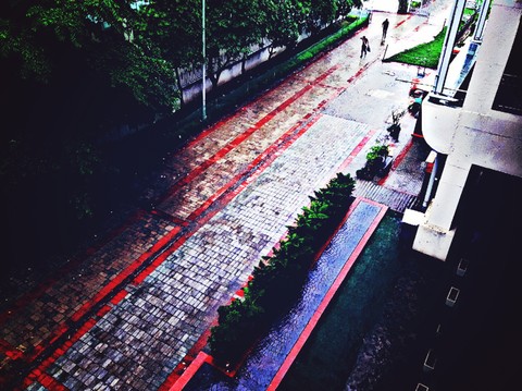 Rain Photography