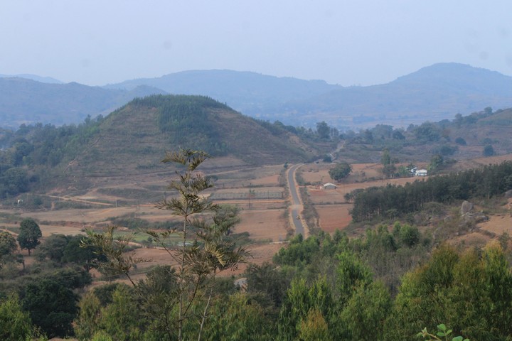nature