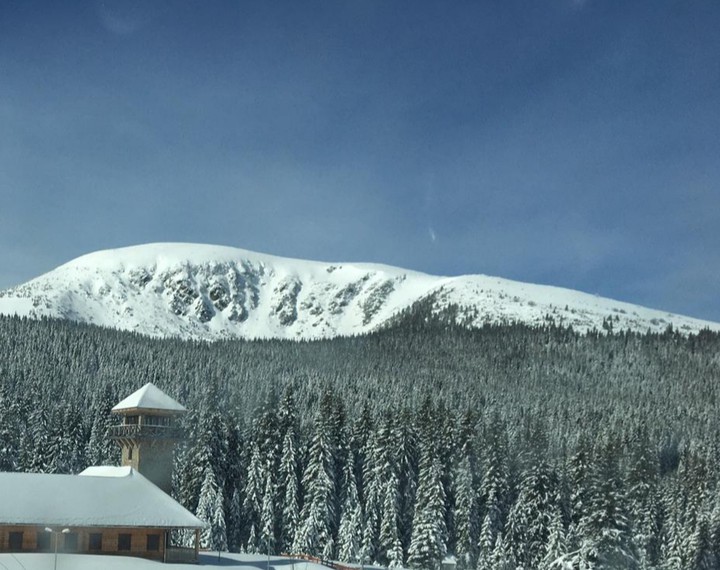 mountain view
