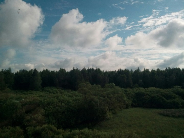 Nature
