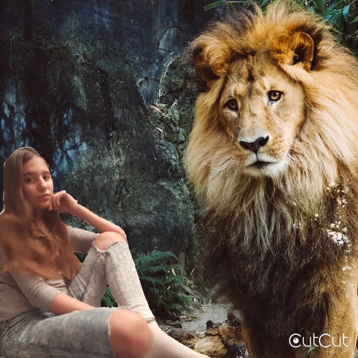 fotoshop