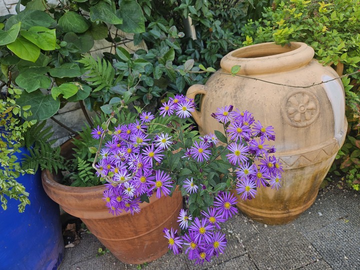 .