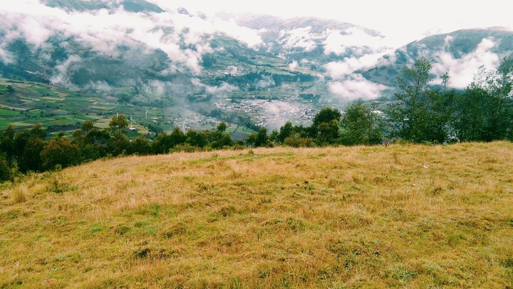 Tulabug _Ecuador- Licto