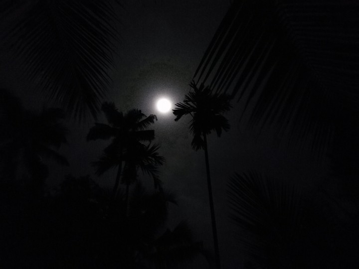 Full Moon night