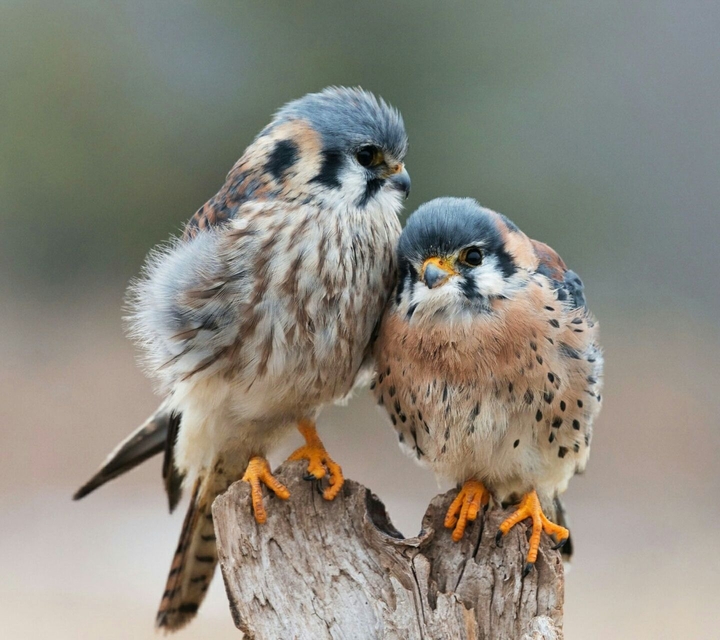 love was together