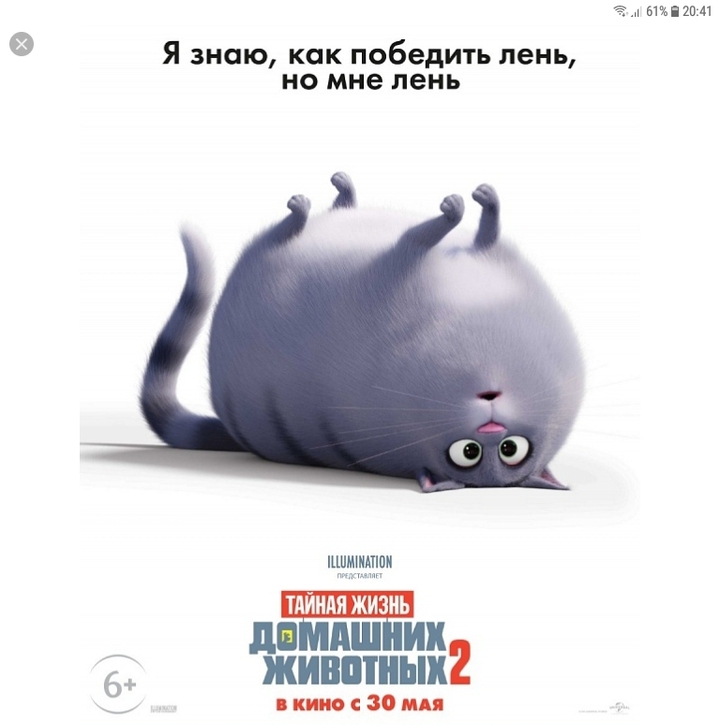 кошкп
