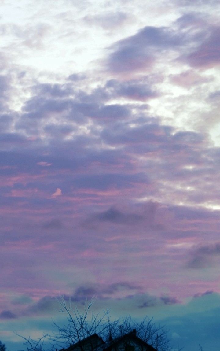 Purple Sky