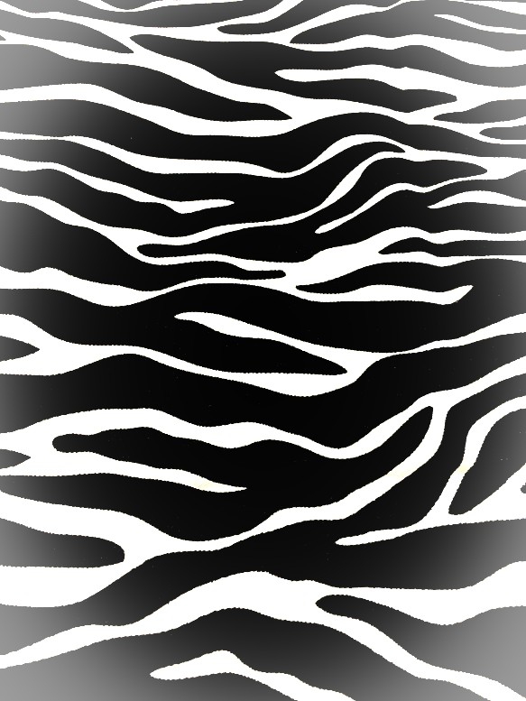 zebra pattern