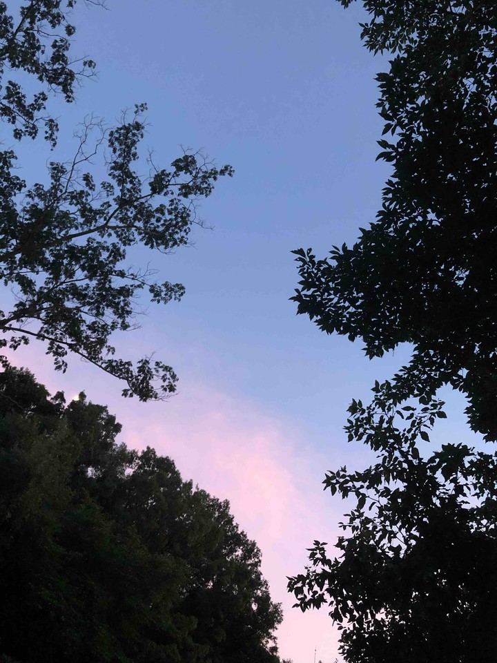 pinky blue sky