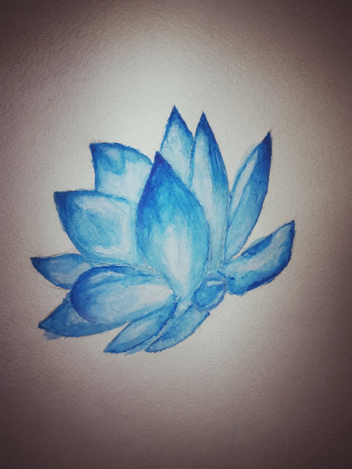 beautiful flower
