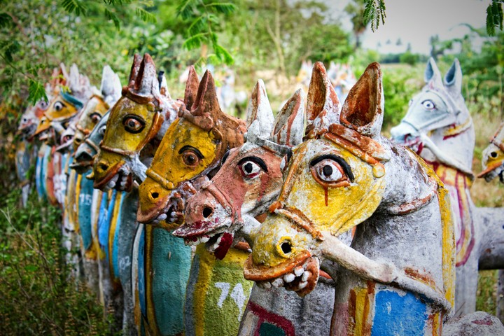 Sand Horses