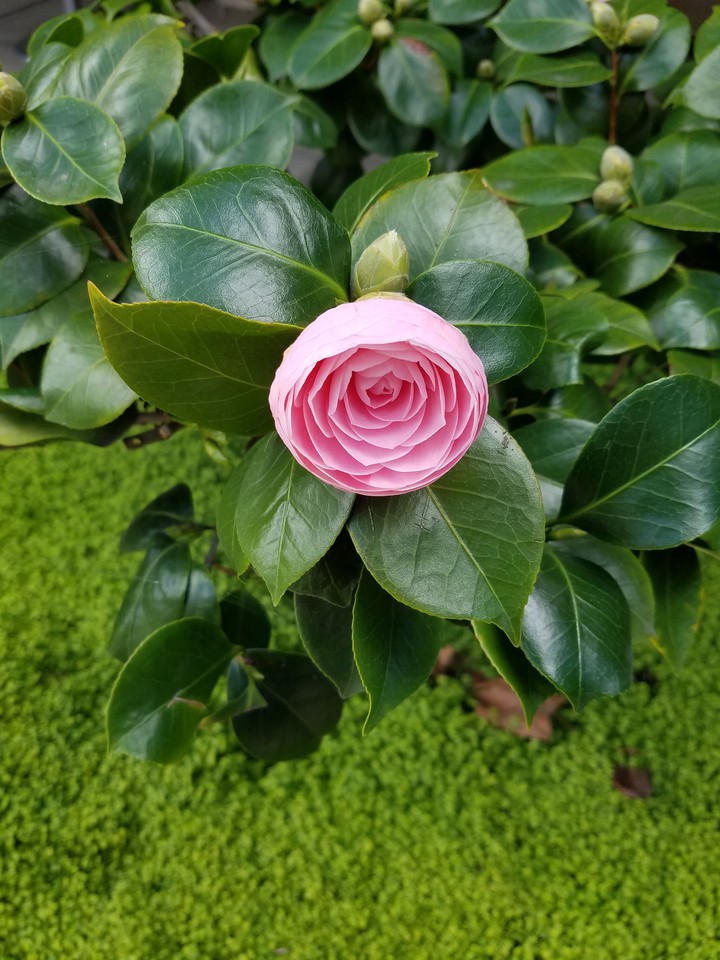 Spring Has Arrived