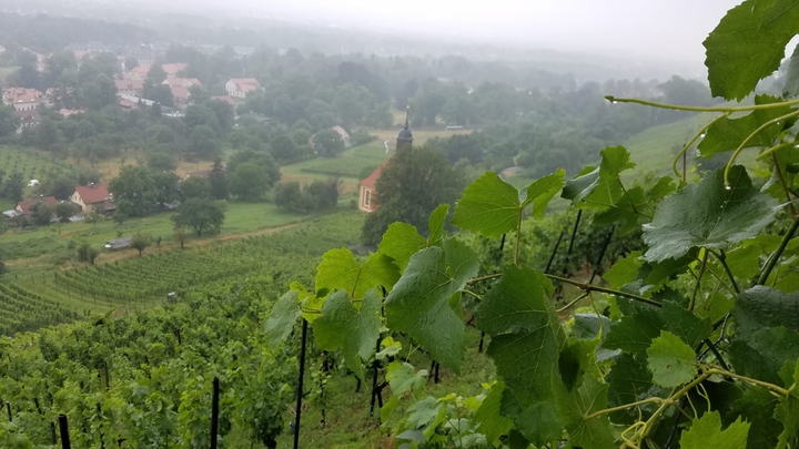 Pillnitz