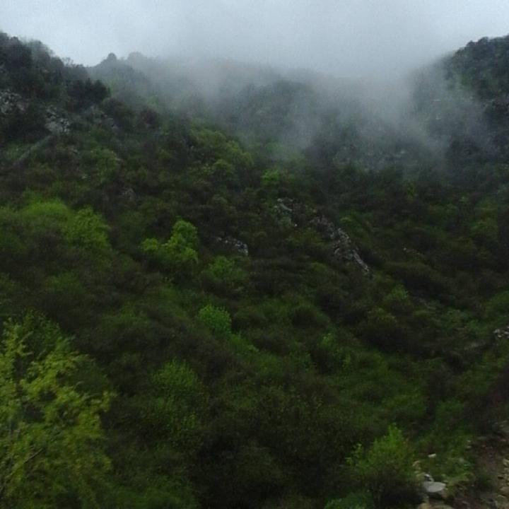 Nature. Tajikistan