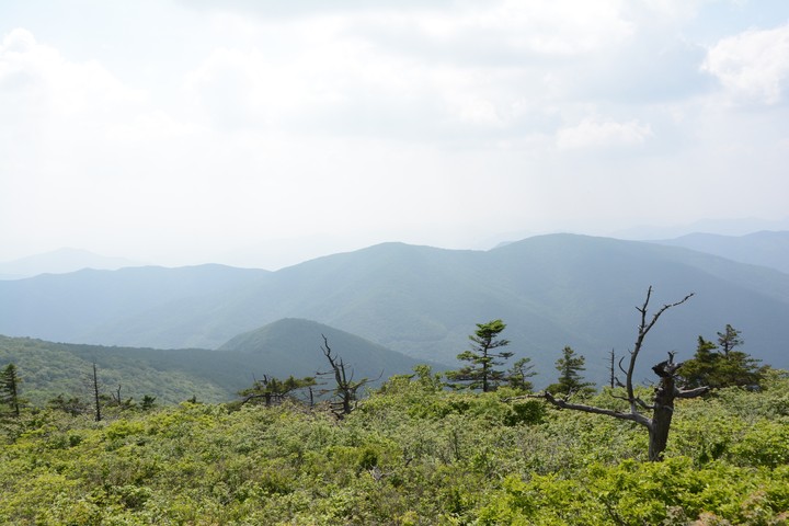 산이미지