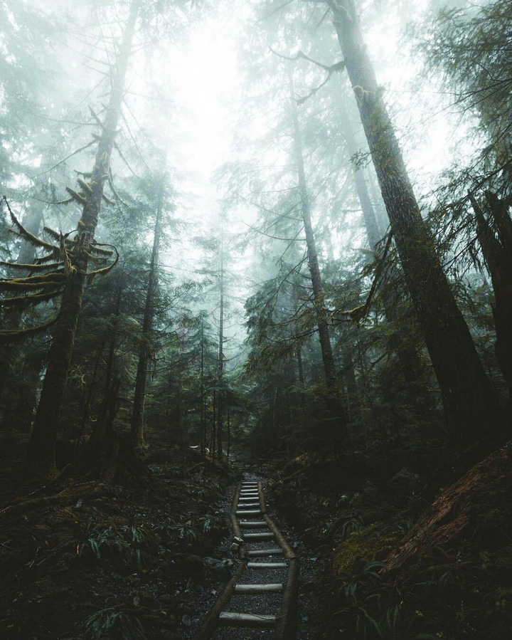 pathway