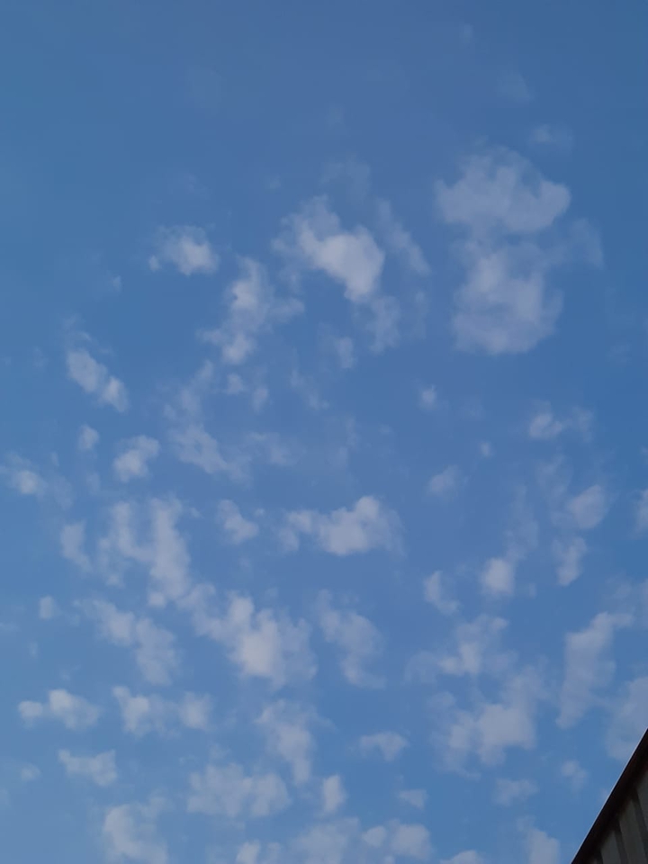 sky1