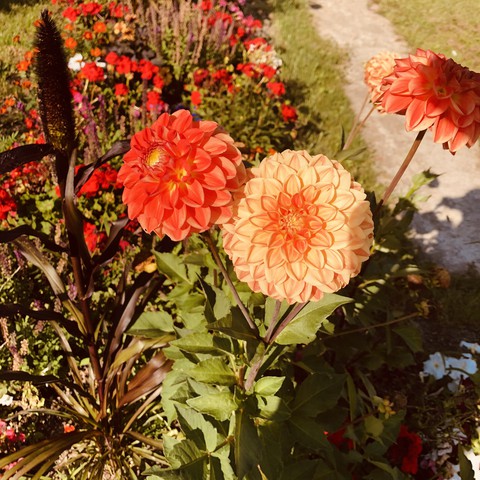 Blumen