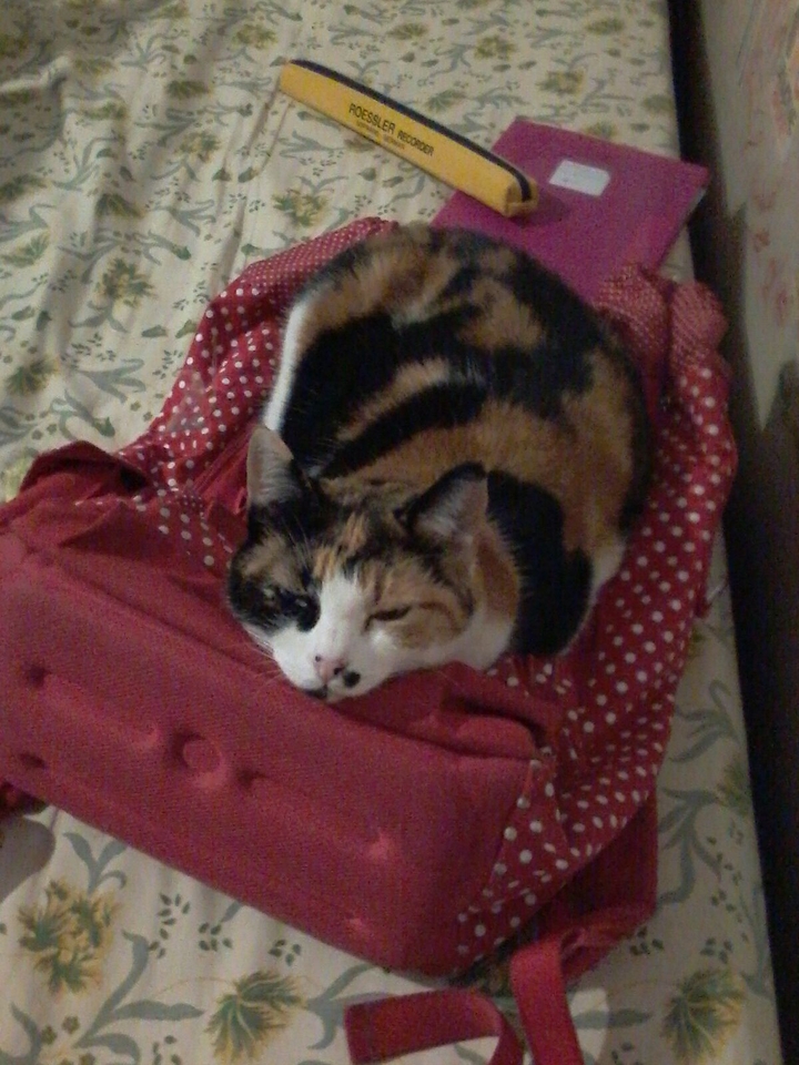 inca