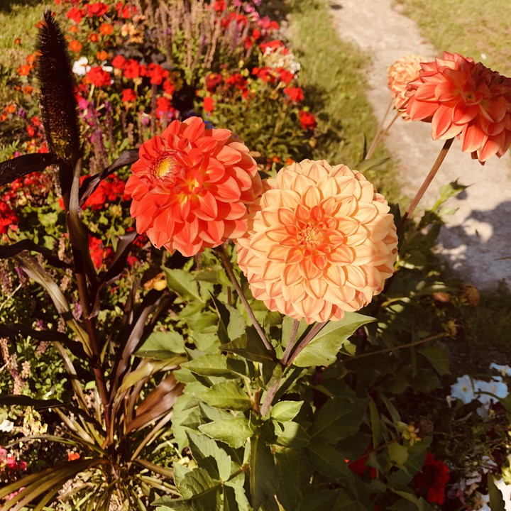Blumen