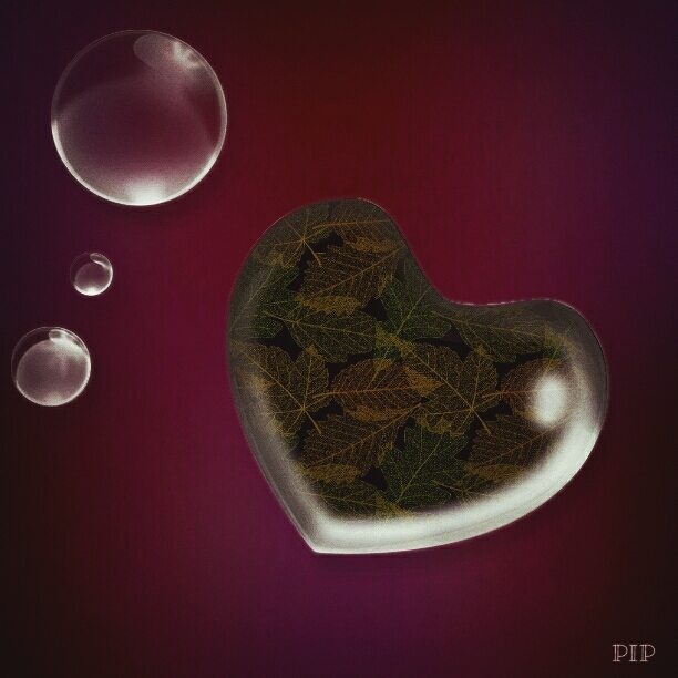 a world of love and kindness