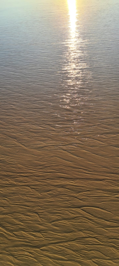 hình nền Water, Fluid
