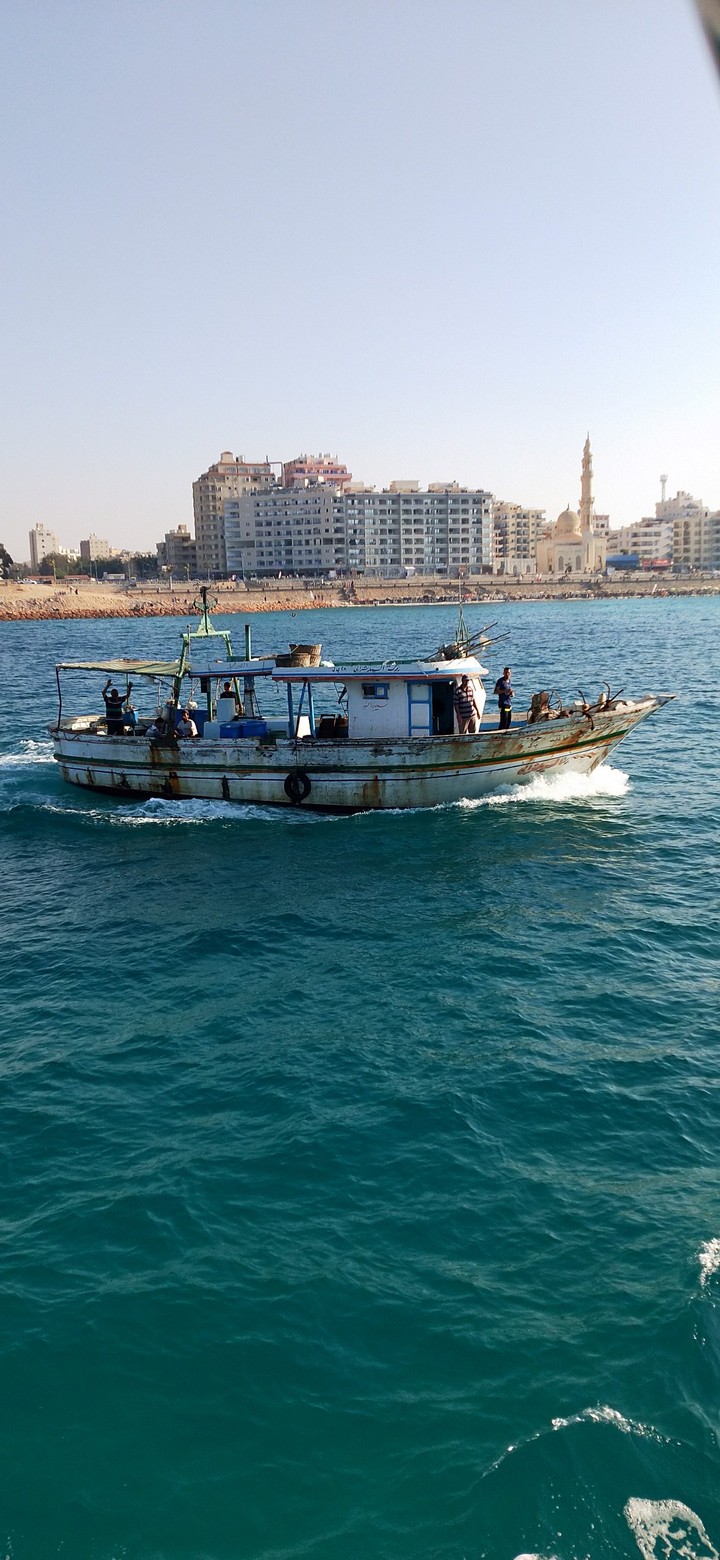 boat in a sea