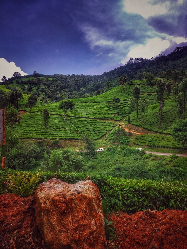 The princess of hill stations - Kodaikanal