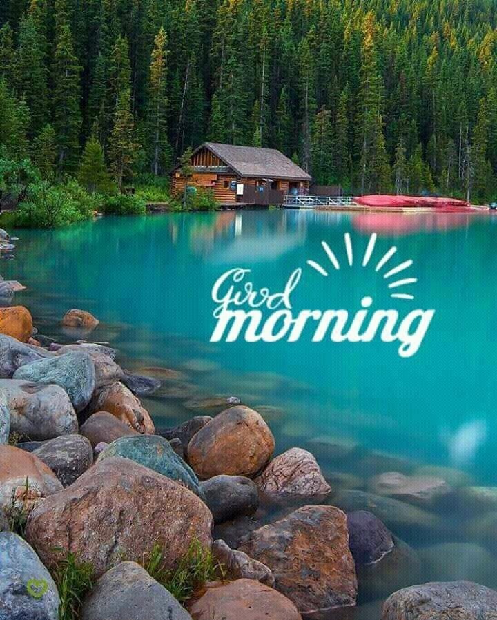 Sweet home...