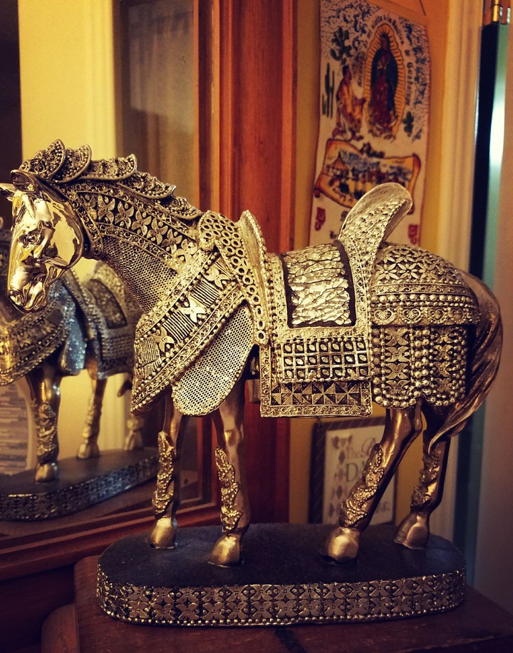 Spanish Horse