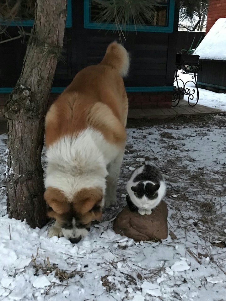 Friends