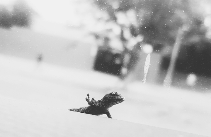 Outside