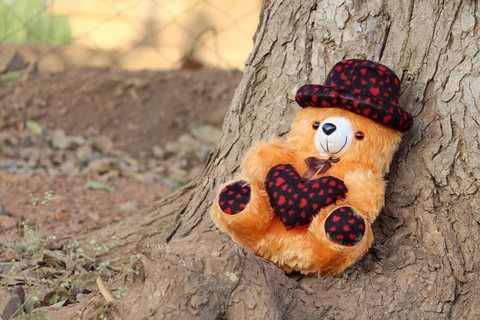 Stuffed_toy, Teddy_bear, Toy