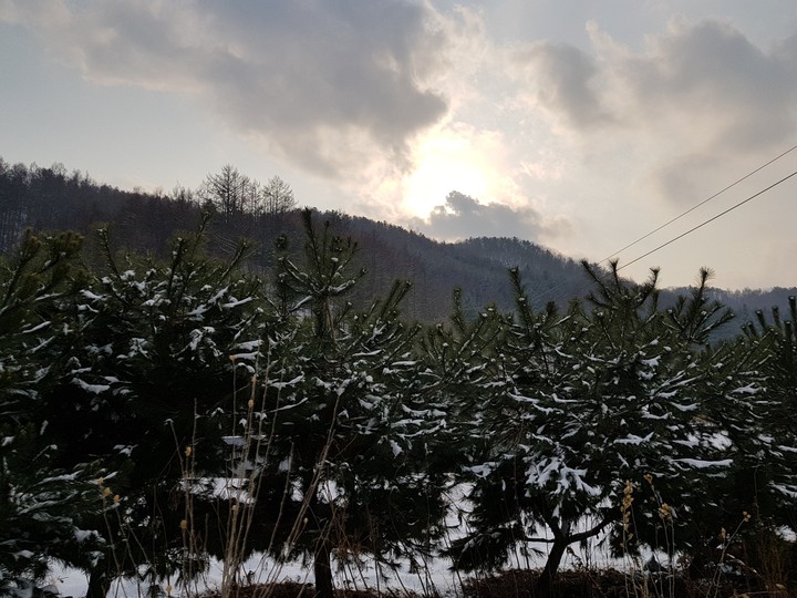 한국의 겨울