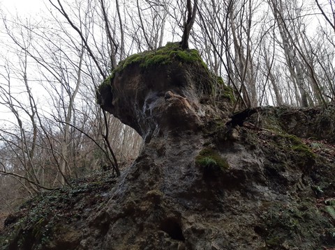 The Rock